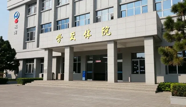 设计选择依据：适用场景与限制条件分析